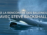 Replay À la rencontre des baleines avec Steve Backshall