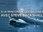 Replay A la rencontre des baleines avec Steve Backshall