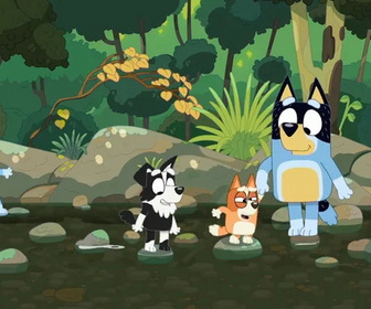 Replay Bluey - La crique