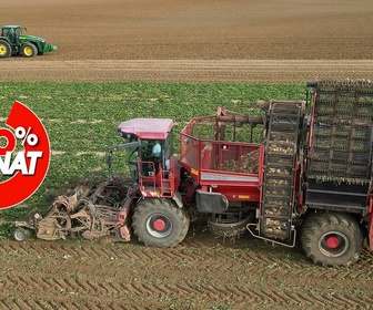 Replay 100% Sénat - Le Sénat réautorise l'utilisation de deux pesticides pour certaines cultures
