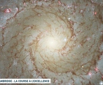 Replay Un jour, un doc - Cambridge : la course à l'excellence