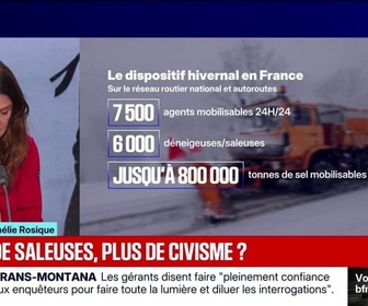 Replay 20H BFM - LE CHOIX D'AMÉLIE ROSIQUE - Moins de saleuses, plus de civisme ?