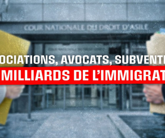 Replay Associations, avocats, subventions : les milliards de l'immigration - les milliards de l'immigration - Associations, avocats, subventions