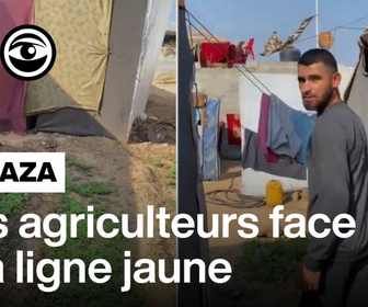 Replay Les Observateurs - Planter pour préserver notre dignité : à Gaza, des agriculteurs toujours coupés de leurs terres