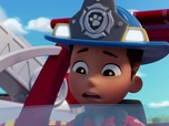 Replay S00 E53 - Compilation Paw Patrol, la Pat'Patrouille 53