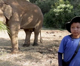 Replay ARTE Journal Junior - Portrait d'enfant : Ku Paw en Thaïlande