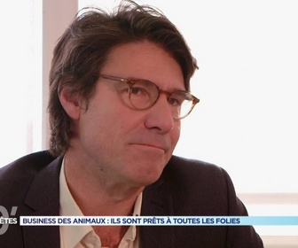 Replay 90' Enquêtes - Business des animaux : ils sont prêts à toutes les folies
