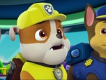 Replay Paw Patrol, la Pat'Patrouille - Atchoum !
