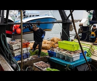 Replay Face à de multiples défis, les professionnels de la pêche se réunissent à Cherbourg