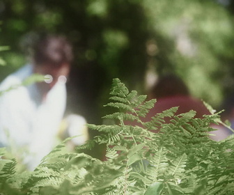 Replay Le mystère d'Oak Island : la course au trésor - S4E14 - Des rondins et des pierres