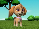 Replay Paw Patrol, la Pat'Patrouille - Katie rejoint la Pat'Patrouille