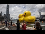 Replay Le canard géant, symbole de paix, de retour dans la baie de Hong Kong