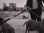 Replay ARTE Journal - Photojournalisme: Naples côté pile