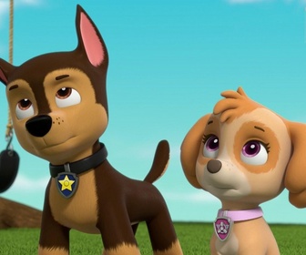 Replay Paw Patrol, la Pat'Patrouille - Galinetta pilote un avion
