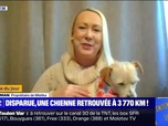 Replay L'image du jour : Disparue, une chienne retrouvée à 3 770 km ! - 10/04