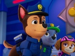 Replay Paw Patrol, la Pat'Patrouille - Mission Détectives : La disparition des chatons