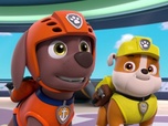 Replay Paw Patrol, la Pat'Patrouille - La disparition de la limande