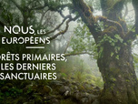 Replay Nous, les Européens - Forêts primaires, les derniers sanctuaires