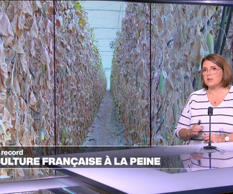 Replay Élément Terre, la quotidienne - Sécheresse record en France: les conséquences sur l'Agriculture