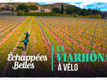 Replay Échappées belles - La ViaRhôna à vélo