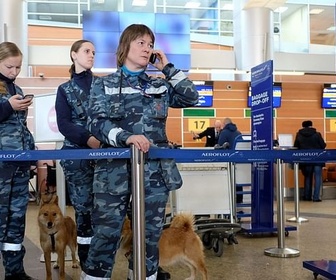 Replay Moscou : les chiens renifleurs d'explosifs - GEO Reportage