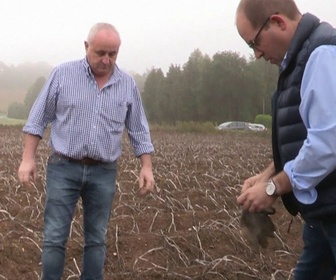 Replay Les docs du week-end - Chips,Tomates, Glaces : les secrets des produits stars de l'été