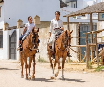 Replay À la poursuite des chevaux sauvages - Carmen et les cavaliers d'El Rocio