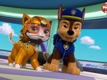 Replay Paw Patrol, la Pat'Patrouille - Super Chats : le coffre-fort de Madame Goodway