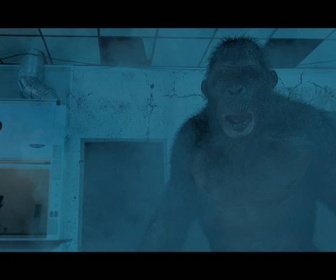 Replay Ape vs Monster