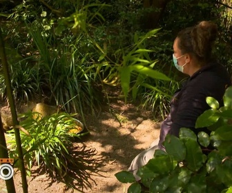 Replay Une saison au zoo - S14 E15