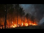 Replay Incendies : 370 000 personnes évacuées en France et en Espagne