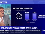 Replay La chronique éco - Les prévisions de production de melons en baisse de 13% en un an