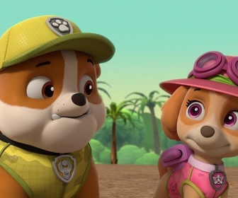 Replay Paw Patrol, la Pat'Patrouille - Travis dans la jungle