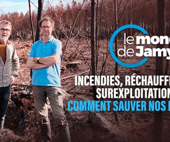 Replay Le monde de Jamy - Incendies, réchauffement, surexploitation : comment sauver nos forêts ?