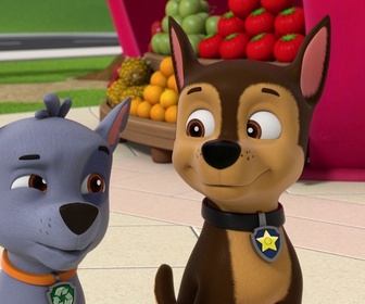 Replay Paw Patrol, la Pat'Patrouille - Mission Tout-Terrain : Les véhicules ont disparu !