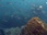 Replay Trésors sous les mers