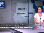Replay Au cœur de l'info, l'invité - Lucile Grosjean: cette guerre au Soudan, c'est aussi une guerre contre les enfants