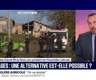 Replay 20H BFM - Dermatose bovine: La priorité, c'est la vaccination, assure Sébastien Chenu (RN)