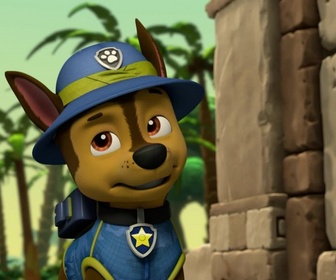 Replay Paw Patrol, la Pat'Patrouille - Un labyrinthe au milieu de la jungle