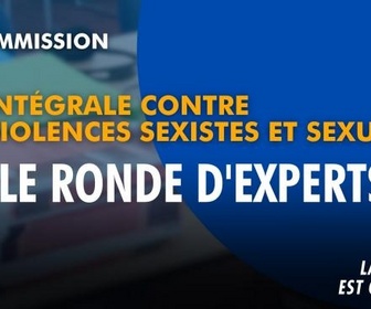 Replay La séance est ouverte ! - Loi intégrale contre les violences sexistes et sexuelles : table ronde d'experts - 16/09/2026