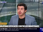 Replay C'est votre vie - Quelles sont les solutions efficaces contre les moustiques?