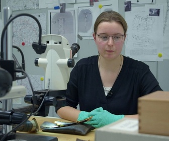 Replay Batailles de légende - S01 E04 - Teutobourg