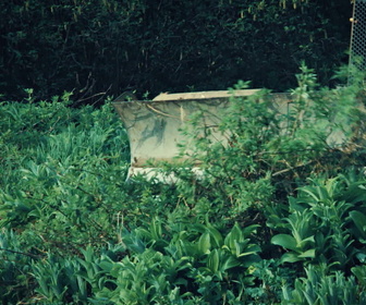 Replay Alaska, la ruée vers l'or : Dakota boys - S6E3 - Accident d'hydroglisseur