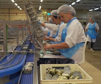 Replay 27 pays et autant de préoccupations - Portugal : la renaissance de la pêche à la sardine
