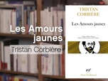 Replay La p'tite librairie - Les amours jaunes - Tristan Corbière