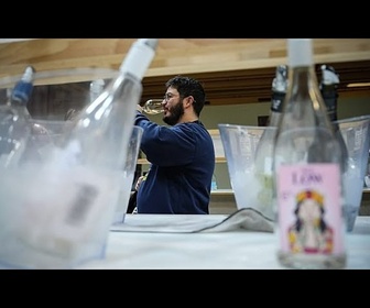 Replay Salon Wine Paris : les vins sans alcool à l'honneur