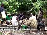 Replay Journal de l'Afrique - Côte d'Ivoire : la filière cacao dans une situation critique avec la chute des ventes