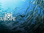 Replay Ici l'Europe - Comment les Européens veulent protéger les océans