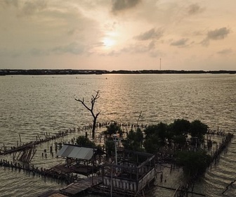 Replay Indonésie, un village sous les eaux - 360° Reportage