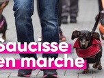 Replay Top Info - Marche des saucisses : défilé de mode et grande cause